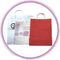 Borsa di plastica dura su ordinazione della maniglia piccolo regalo bianco/rosso con stampa variopinta