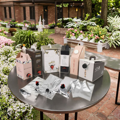 Sacchetti BIB personalizzati in scatola con rubinetto accessorio, ideali per il confezionamento di vino, succhi, olio e altri prodotti liquidi