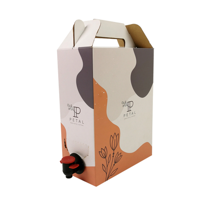 1L/2L/3L Custom Coffee Box Sacchetto monouso per caffè in scatola con distributore a valvola