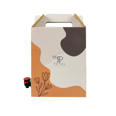 1L/2L/3L Custom Coffee Box Sacchetto monouso per caffè in scatola con distributore a valvola