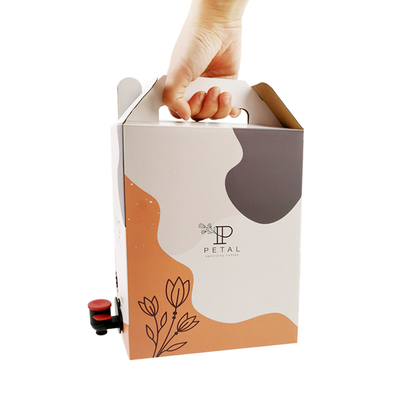 1L/2L/3L Custom Coffee Box Sacchetto monouso per caffè in scatola con distributore a valvola
