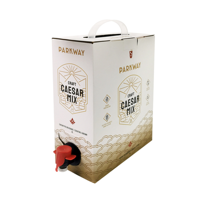 Sacchetto BIB usa e getta personalizzato da 1L 1,5L 2 litri 3L 5L 96OZ in scatola con erogatore per tè, succo, caffè da asporto in confezione di cartone