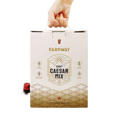 Sacchetto BIB usa e getta personalizzato da 1L 1,5L 2 litri 3L 5L 96OZ in scatola con erogatore per tè, succo, caffè da asporto in confezione di cartone