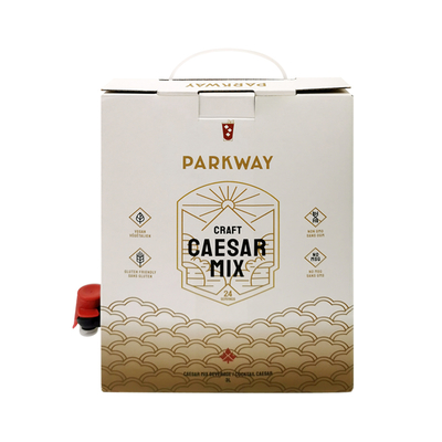 Sacchetto BIB usa e getta personalizzato da 1L 1,5L 2 litri 3L 5L 96OZ in scatola con erogatore per tè, succo, caffè da asporto in confezione di cartone