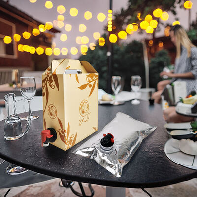 Sacchetti BIB personalizzati in scatola con rubinetto accessorio, ideali per il confezionamento di vino, succhi, olio e altri prodotti liquidi