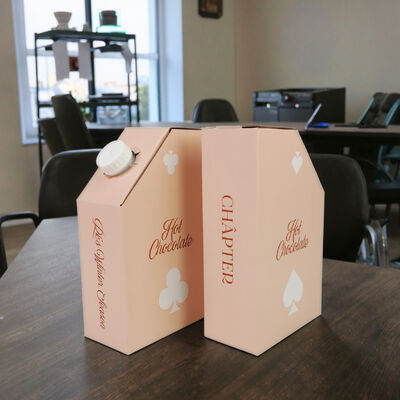 ISO SGS Certified Bag In Box Stampa su misura imballaggio quadrato rettangolare offerta e soluzioni di stoccaggio liquido sicuro